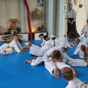 AikidoKinderSeminar2019.001