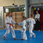 AikidoKinderSeminar2019.001