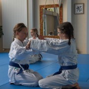 AikidoKinderSeminar2019.001