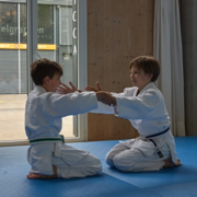 AikidoKinderSeminar2019.001