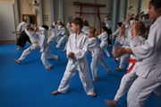 AikidoKinderSeminar2019.001