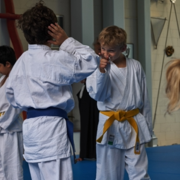 AikidoKinderSeminar2019.001