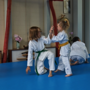 AikidoKinderSeminar2019.001