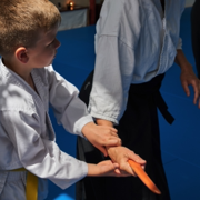 AikidoKinderSeminar2019.001