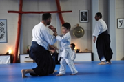 Aikido Kinderseminar 2016-06-11 (52 von 85)