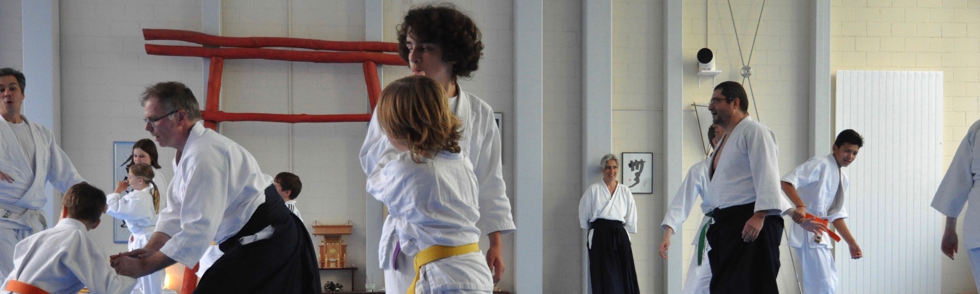 Aikido Kinderseminar 2016-06-11 (57 von 85)