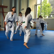 Aikido Kinderseminar 2016-06-11 (11 von 85)