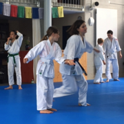 Aikido Kinderseminar 2016-06-11 (11 von 85)